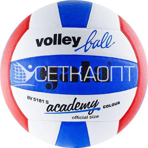 Мяч волейбольный GALA Academy BV5181S