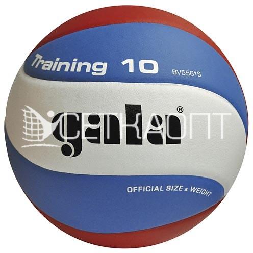 Мяч волейбольный Gala Training 10 BV5561S