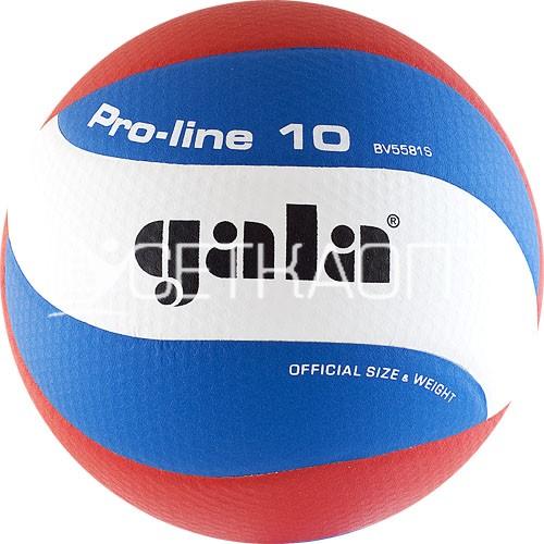 Мяч волейбольный Gala Pro-Line 10 BV5581S